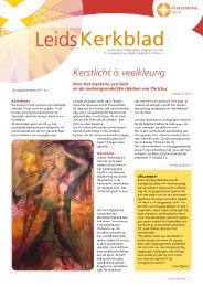 Kerstlicht is veelkleurig - Protestantse Gemeente Leiden