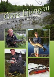 Övre Ljungan - Bergs kommun