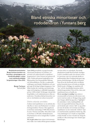 Bland minoritetsfolk och rhododendron i Yunnans berg