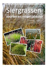 Siergrassen, soorten en mogelijkheden.pptx - Perkgroen