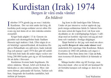 Kurdistan - Läs en bok