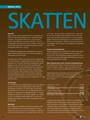 Skatten 2010