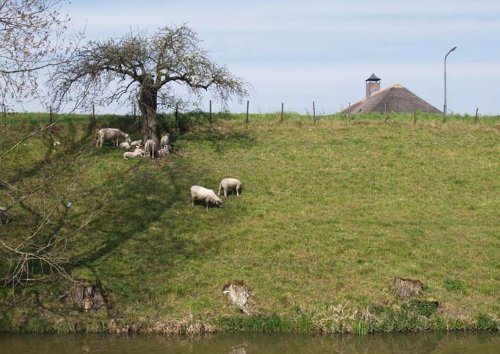 Het dynamische leven met het water - Voet van Oudheusden