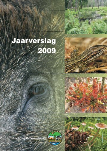 Jaarverslag Groennetwerk 2009