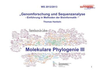 Molekulare Phylogenie III