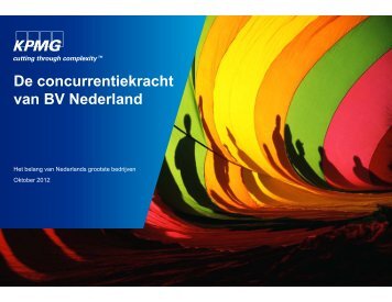 De concurrentiekracht van BV Nederland