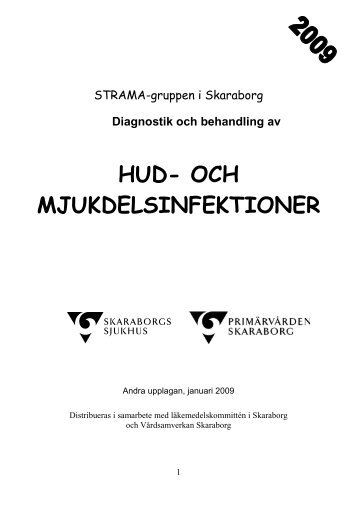 Hud- och mjukdelsinfektioner, 2009 (pdf) - Strama