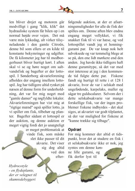 0401 jan 2004.qxd (Page 1) - Vestsjællands Akvarie- og Terrarieklub