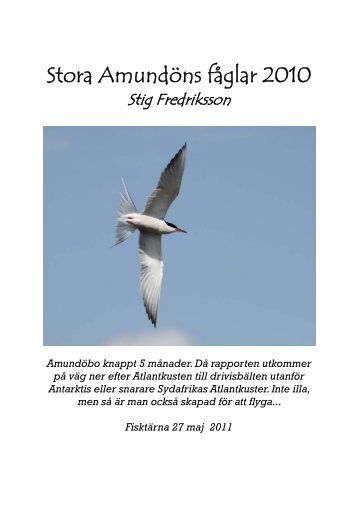 Stora Amundöns fåglar 2010 - NaturStig