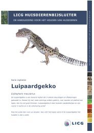 Download de huisdierenbijsluiter Luipaardgekko - Licg