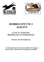 DOBBELSTEVNE I AGILITY - Norsk Retrieverklubb