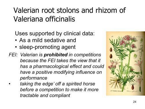 Herbal medication for horses