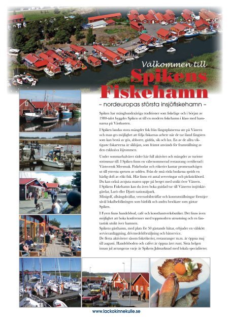 Spikens Fiskehamn - Basetool