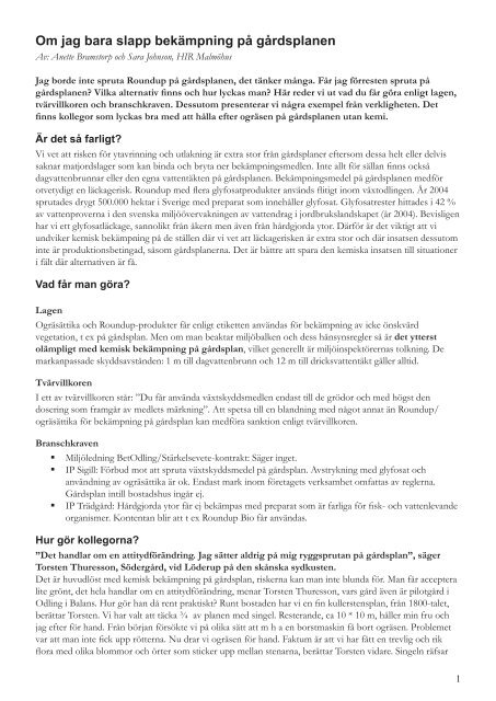 Ogräs på gårdsplanen.pdf