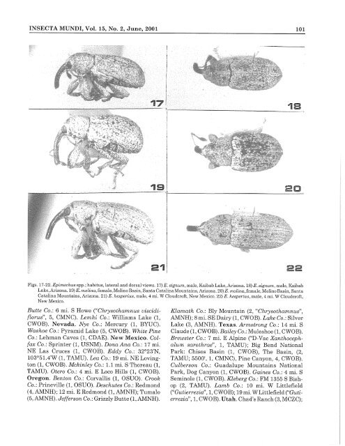 Epimechus Dietz (Coleoptera: Curculionidae: Anthonomini)