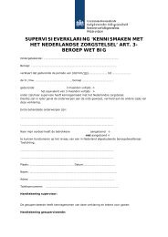 Kennismaking met NL zorgstelsel art-3-3mnd - BIG-register