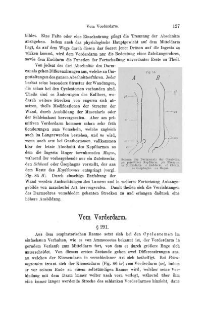 S-294304-2_GEGENBAUR_Vergleichende_Anatomie_der_Wirbelthiere_1901.pdf