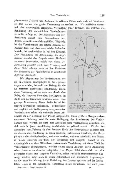 S-294304-2_GEGENBAUR_Vergleichende_Anatomie_der_Wirbelthiere_1901.pdf