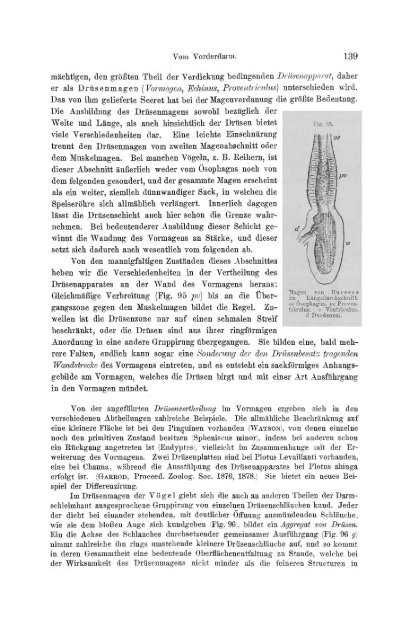 S-294304-2_GEGENBAUR_Vergleichende_Anatomie_der_Wirbelthiere_1901.pdf