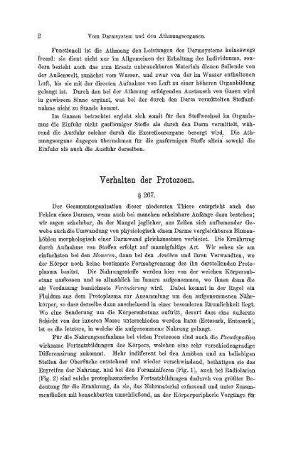 S-294304-2_GEGENBAUR_Vergleichende_Anatomie_der_Wirbelthiere_1901.pdf