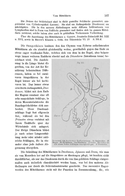 S-294304-2_GEGENBAUR_Vergleichende_Anatomie_der_Wirbelthiere_1901.pdf