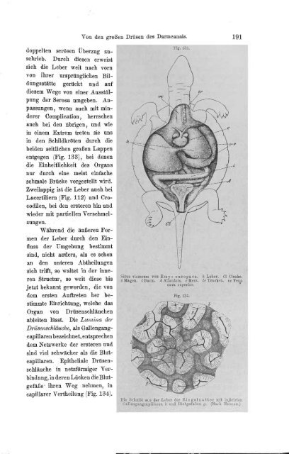 S-294304-2_GEGENBAUR_Vergleichende_Anatomie_der_Wirbelthiere_1901.pdf