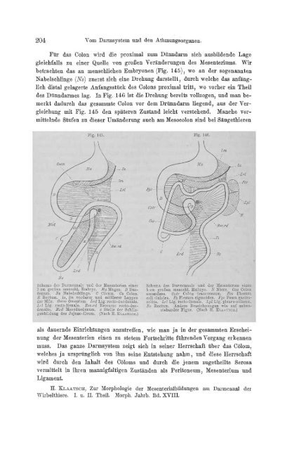 S-294304-2_GEGENBAUR_Vergleichende_Anatomie_der_Wirbelthiere_1901.pdf