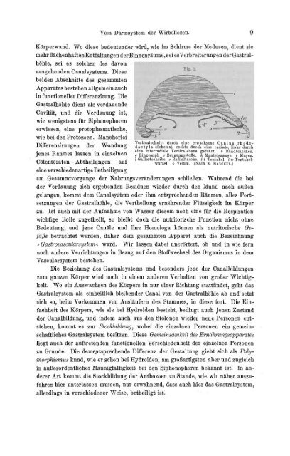 S-294304-2_GEGENBAUR_Vergleichende_Anatomie_der_Wirbelthiere_1901.pdf