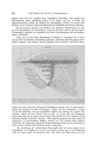 S-294304-2_GEGENBAUR_Vergleichende_Anatomie_der_Wirbelthiere_1901.pdf