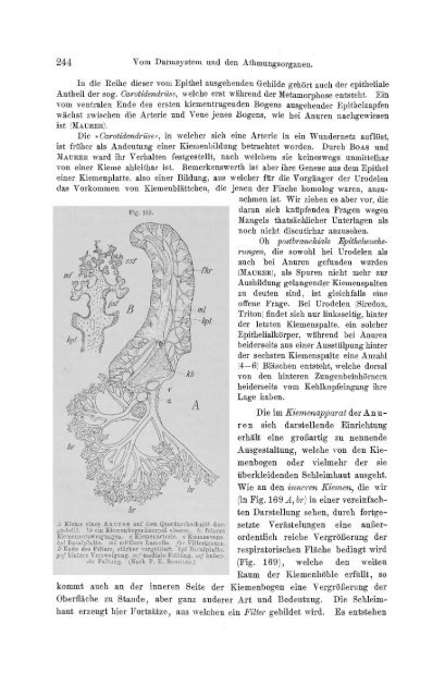 S-294304-2_GEGENBAUR_Vergleichende_Anatomie_der_Wirbelthiere_1901.pdf