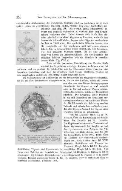 S-294304-2_GEGENBAUR_Vergleichende_Anatomie_der_Wirbelthiere_1901.pdf