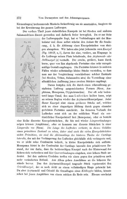 S-294304-2_GEGENBAUR_Vergleichende_Anatomie_der_Wirbelthiere_1901.pdf