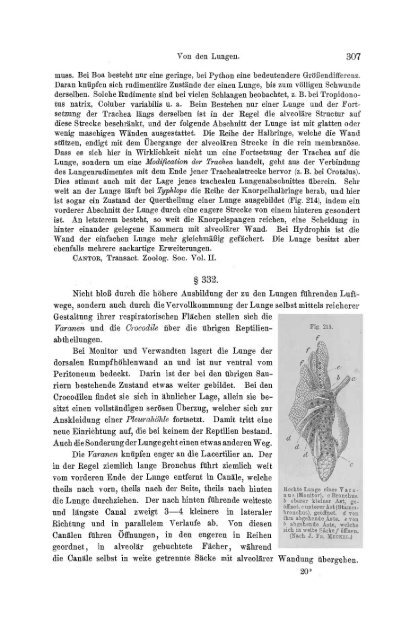 S-294304-2_GEGENBAUR_Vergleichende_Anatomie_der_Wirbelthiere_1901.pdf