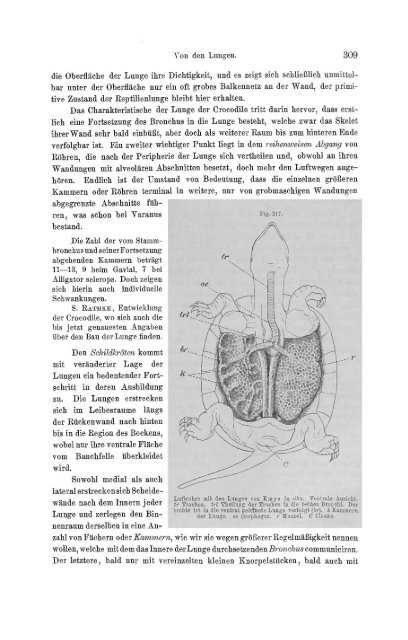 S-294304-2_GEGENBAUR_Vergleichende_Anatomie_der_Wirbelthiere_1901.pdf