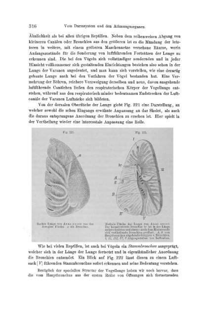 S-294304-2_GEGENBAUR_Vergleichende_Anatomie_der_Wirbelthiere_1901.pdf