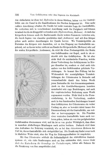 S-294304-2_GEGENBAUR_Vergleichende_Anatomie_der_Wirbelthiere_1901.pdf