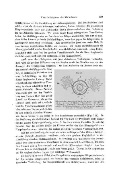 S-294304-2_GEGENBAUR_Vergleichende_Anatomie_der_Wirbelthiere_1901.pdf