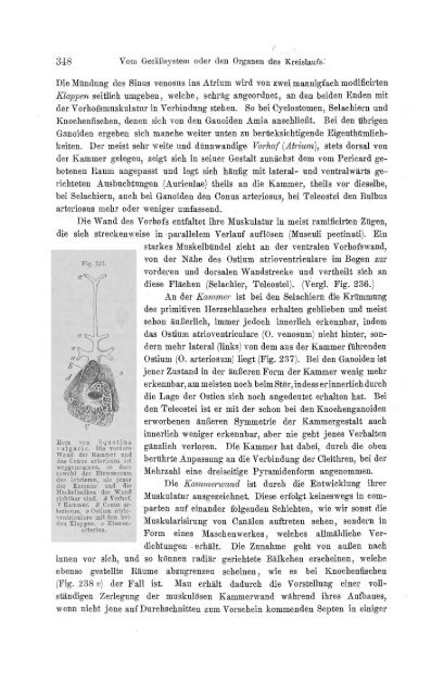 S-294304-2_GEGENBAUR_Vergleichende_Anatomie_der_Wirbelthiere_1901.pdf