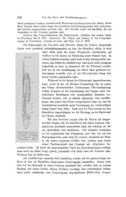 S-294304-2_GEGENBAUR_Vergleichende_Anatomie_der_Wirbelthiere_1901.pdf