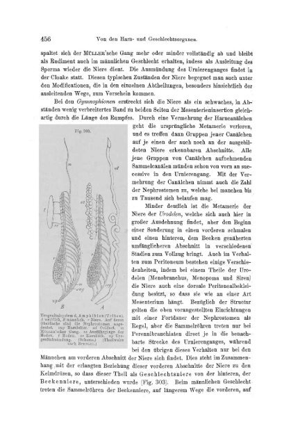 S-294304-2_GEGENBAUR_Vergleichende_Anatomie_der_Wirbelthiere_1901.pdf