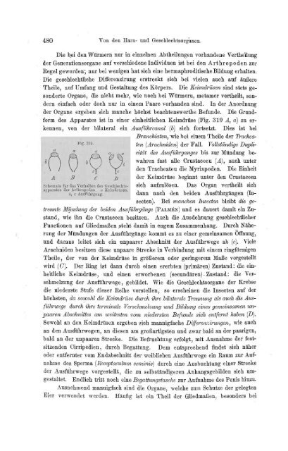 S-294304-2_GEGENBAUR_Vergleichende_Anatomie_der_Wirbelthiere_1901.pdf