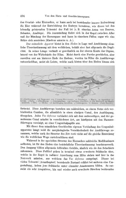 S-294304-2_GEGENBAUR_Vergleichende_Anatomie_der_Wirbelthiere_1901.pdf