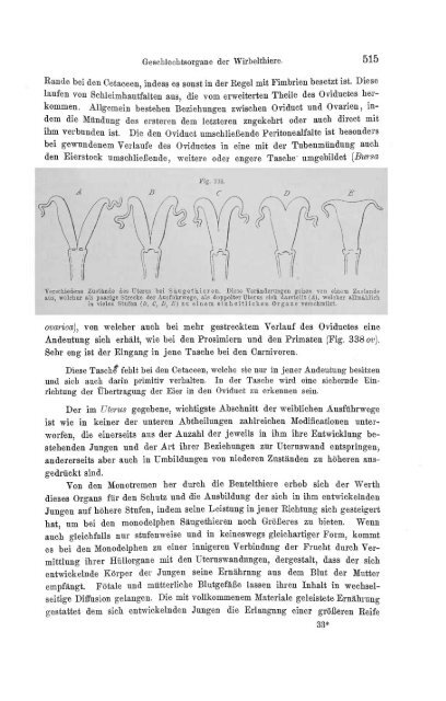 S-294304-2_GEGENBAUR_Vergleichende_Anatomie_der_Wirbelthiere_1901.pdf