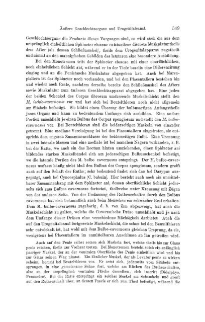 S-294304-2_GEGENBAUR_Vergleichende_Anatomie_der_Wirbelthiere_1901.pdf