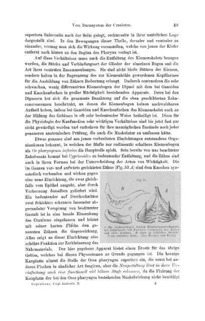 S-294304-2_GEGENBAUR_Vergleichende_Anatomie_der_Wirbelthiere_1901.pdf