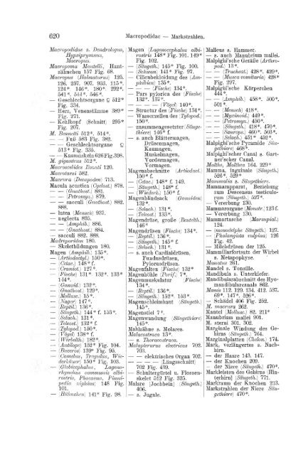 S-294304-2_GEGENBAUR_Vergleichende_Anatomie_der_Wirbelthiere_1901.pdf