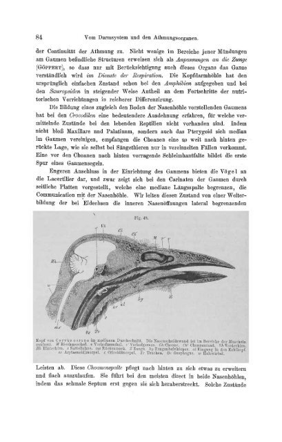 S-294304-2_GEGENBAUR_Vergleichende_Anatomie_der_Wirbelthiere_1901.pdf