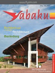 Architectuur Architecture - Surinam Airways