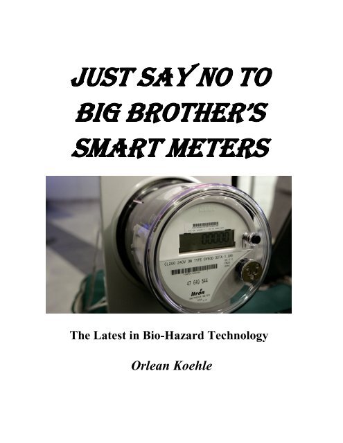 Just Say No to Big Brother's Smart Meters by Orlean Koehle