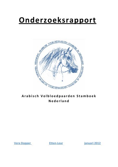 Onderzoeksrapport - AVS